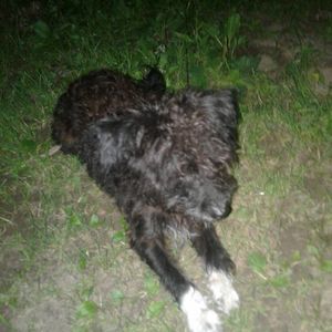 Meet your Posher, Tammy